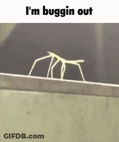 Bug On Ledge Saying I'm Buggin Out GIF