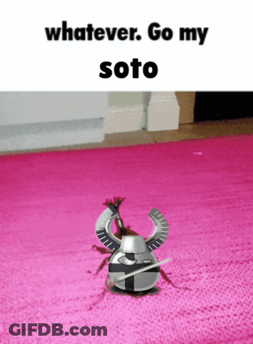 Bug On Pink Rug Whatever Go My Soto GIF