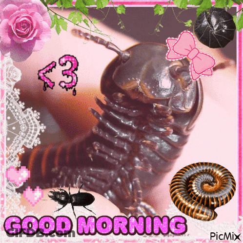Bug Saying Good Morning GIF