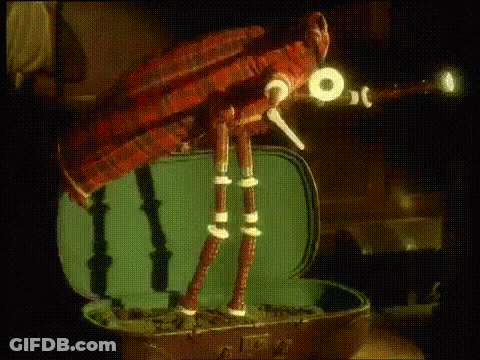 Bug Sitting On Suitcase GIF