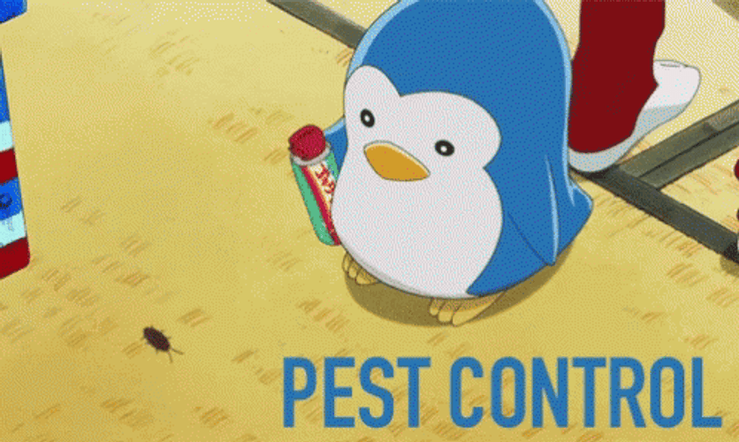 Bug Spray Pest Control GIF