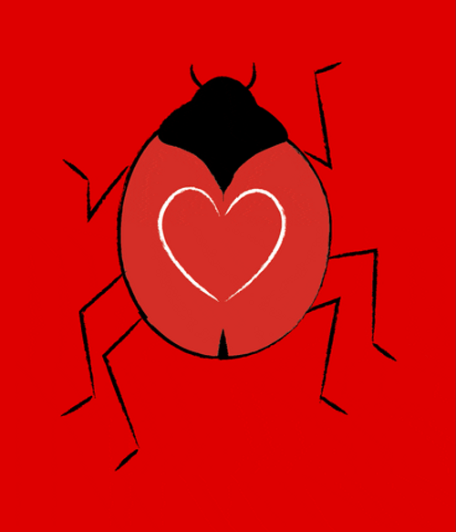 Bug Wings Heart Break GIF