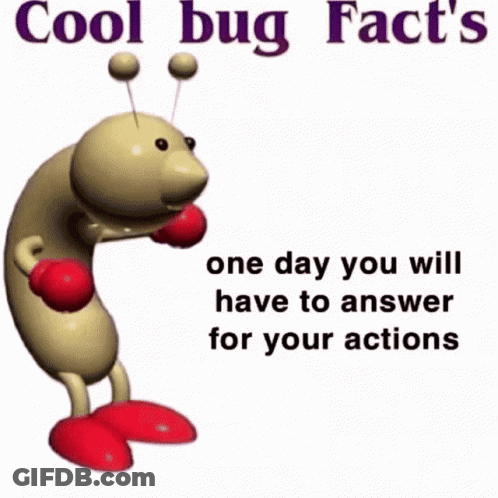 Bug With Boxing Gloves Cool Bug Facts One Day You Will Have To Answer For Your Actions GIF