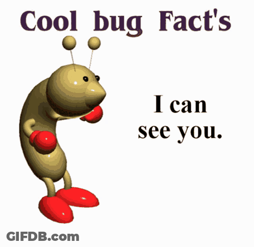 Bug With Red Boxing Gloves Says Cool Bug Facts GIF