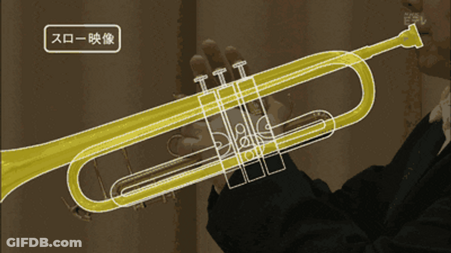 Bugle Wind Passing Thru Illustration GIF