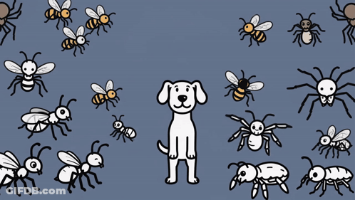 Bugs Bugs Bugs GIF