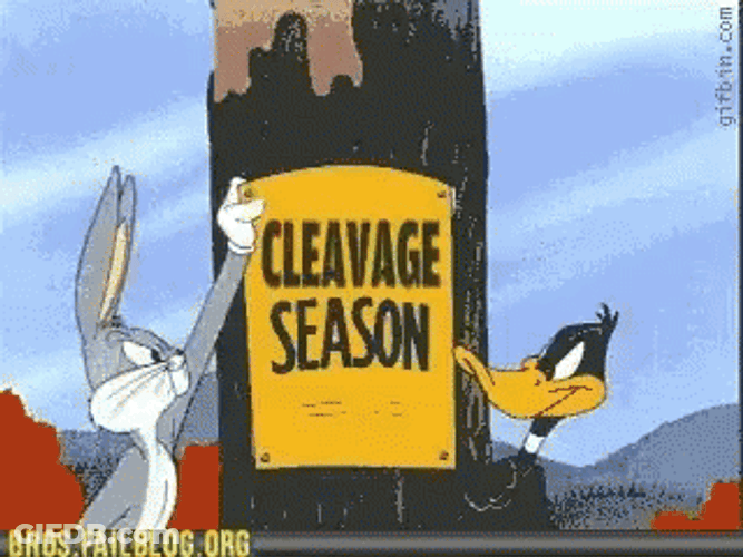 Bugs Bunny And Daffy Duck Cleavage Vs Yoga Pants Season GIF