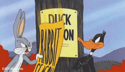 Bugs Bunny And Daffy Duck Looking At A Duck On Rabbit Sign GIF