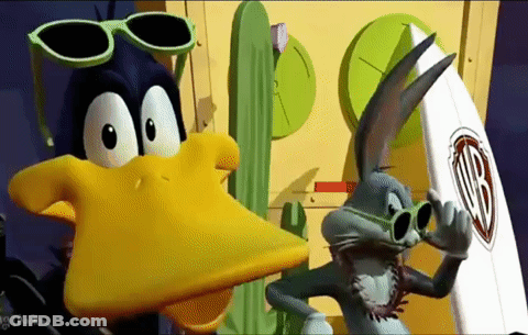 Bugs Bunny And Daffy Duck With Surfboard GIF