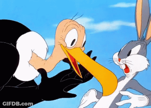 Bugs Bunny And Looney Tunes Cartoon GIF