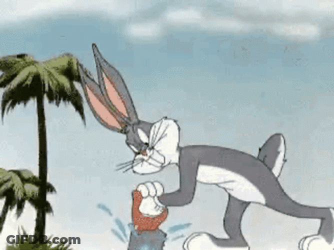 Bugs Bunny Florida GIF