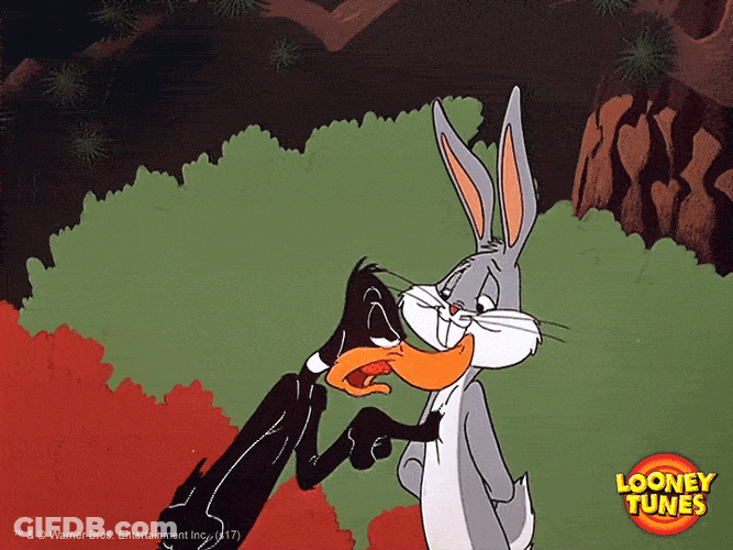 Bugs Bunny Florida Angry Daffy Duck GIF