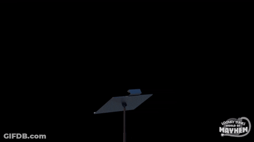 Bugs Bunny Florida Conductor Wink GIF