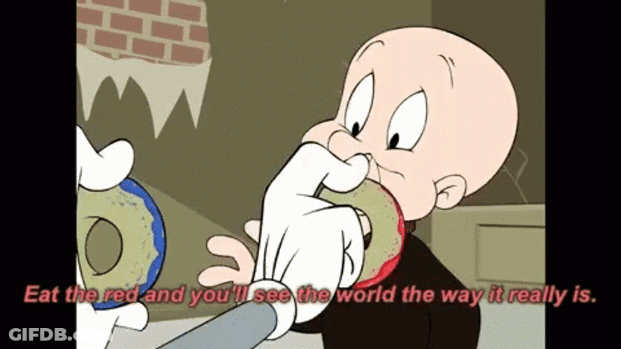 Bugs Bunny Florida GIF