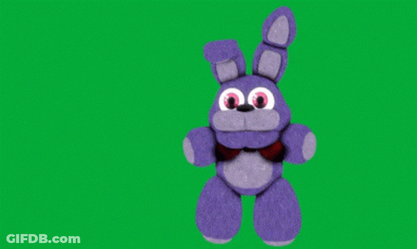 Bugs Bunny Florida GIF