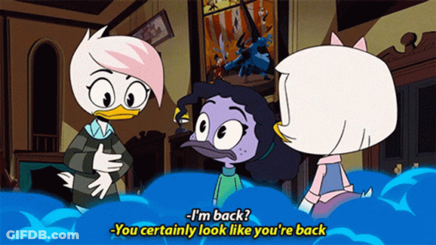 Bugs Bunny Florida GIF