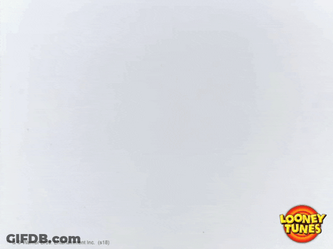 Bugs Bunny Florida Peeking GIF