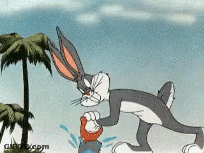 Bugs Bunny Florida Sawing Near Atlantic Ocean GIF