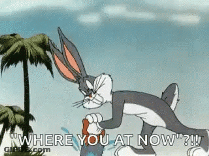 Bugs Bunny Florida Where You At Now GIF