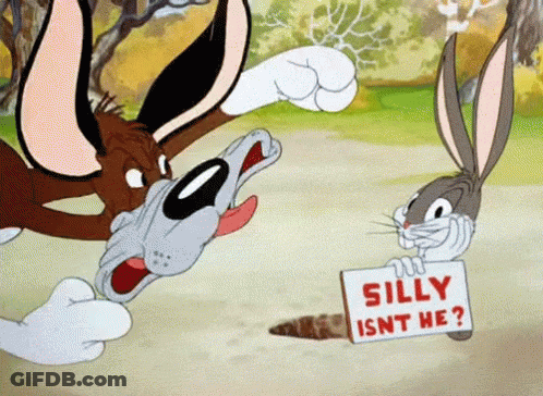 Bugs Bunny Holding Sign Saying Silly Isn't He GIF