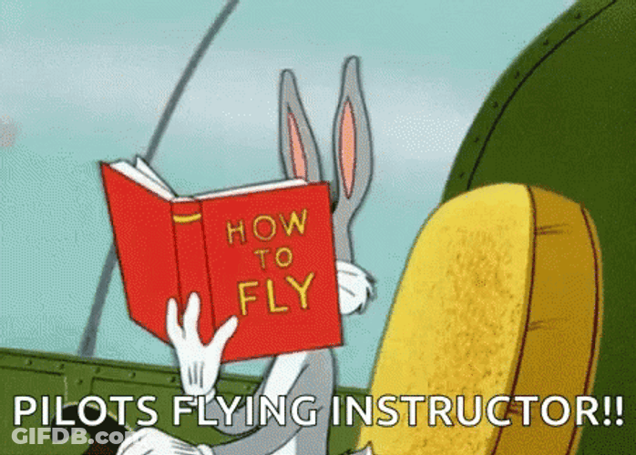 Bugs Bunny Reading Pilot Flying Instructions GIF