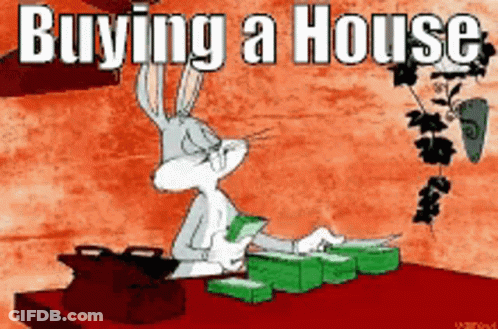 Bugs Bunny Sitting At Table With Money Buying A House GIF