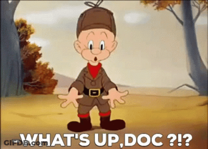 Bugs Bunny What's Up Doc Elmer Fudd GIF