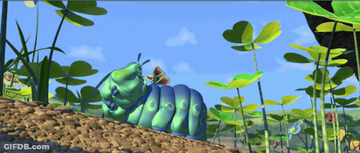 Bugs Heimlich With Small Butterfly Wings GIF