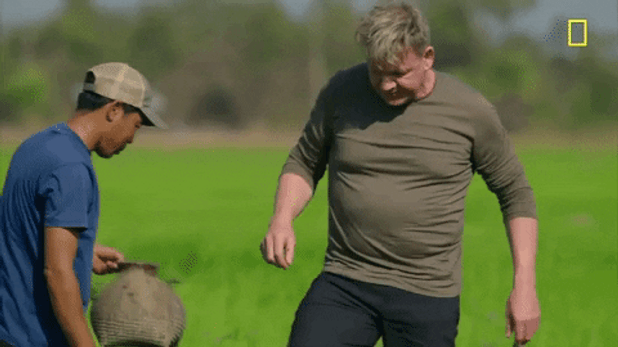 Bugs In Laos GIF