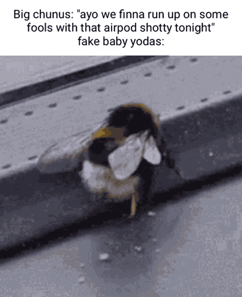 Bugshaker Beetwerk GIF
