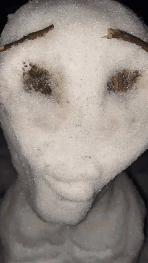 Build Ice Man Mewing Meme GIF