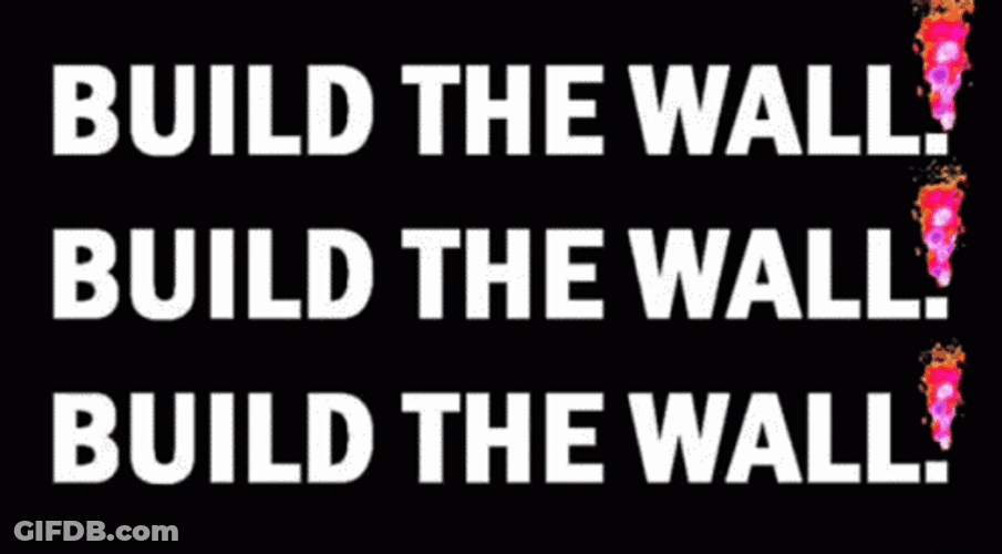 Build The Wall Digital Mobile Design GIF