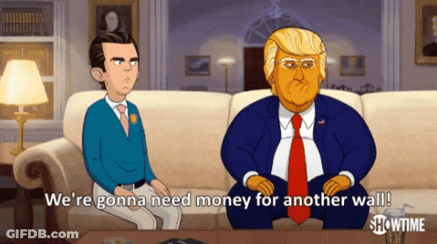 Build The Wall Donald Trump Cartoon Meme GIF