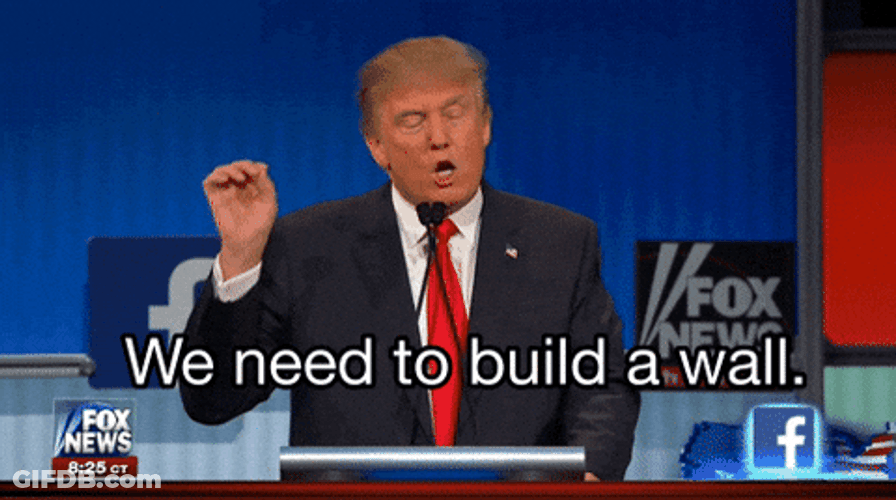 Build The Wall Donald Trump Fox Debate GIF