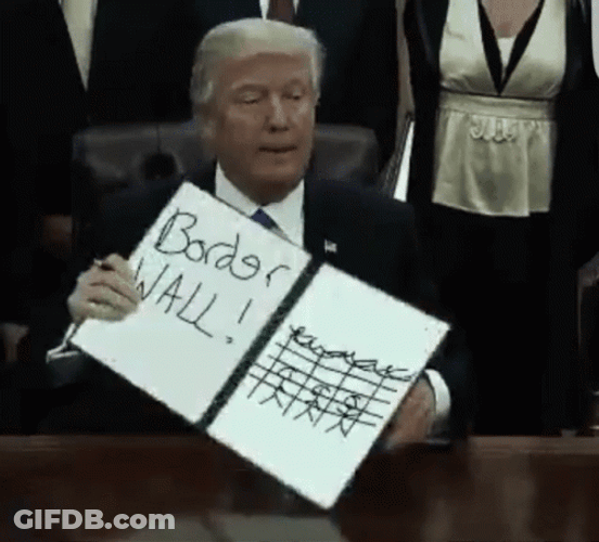 Build The Wall Donald Trump Placard GIF