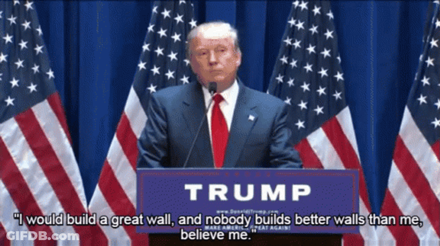 Build The Wall Donald Trump Speech GIF