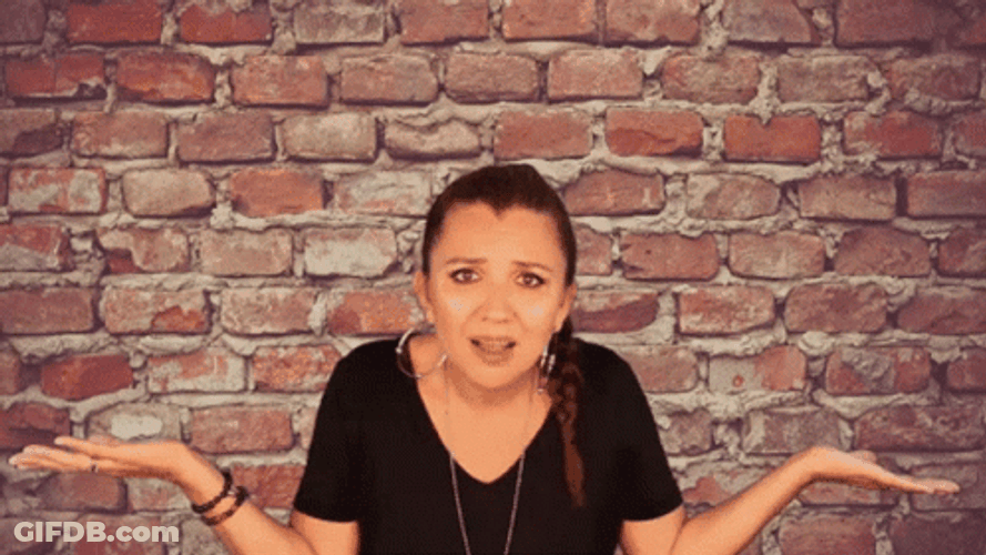 Build The Wall Guy Talking To Wall Meme GIF