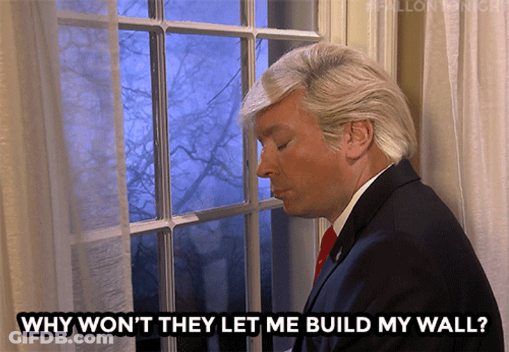 Build The Wall Jimmy Fallon Trump Spoof GIF