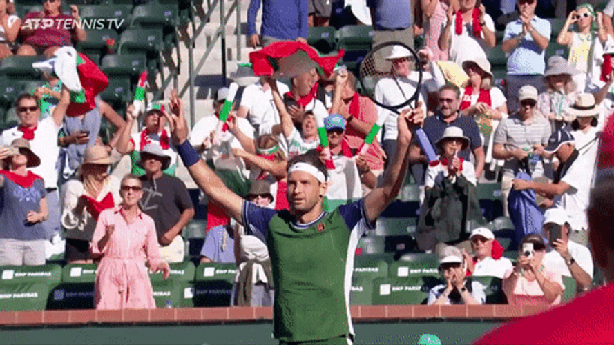 Bulgaria Grigor Dimitrov Celebrating GIF