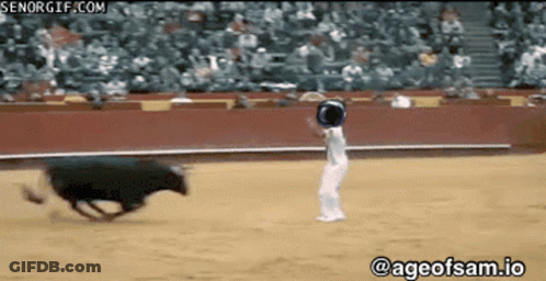 Bull Chased By Person @Ageofsam.io GIF
