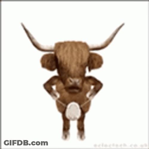 Bull Funny Dance GIF