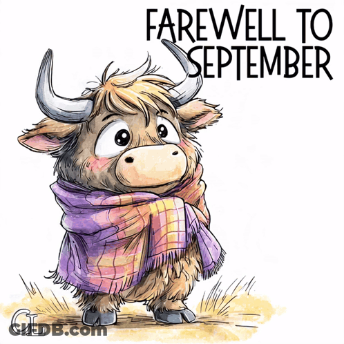 Bull In Plaid Scarf Farewell To September GIF