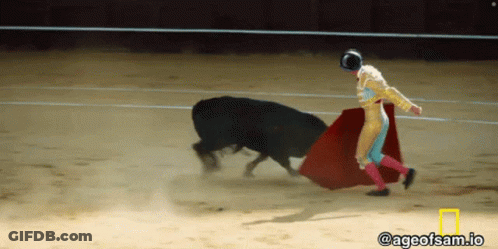 Bull Slaughtered By Matador With Ageofsam.io GIF