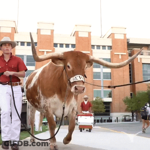 Bull Wearing Deva Headband GIF