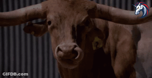 Bull With Long Horns In Front Of Unicorn Logo GIF