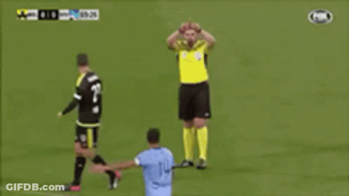 Bull With Var Check GIF