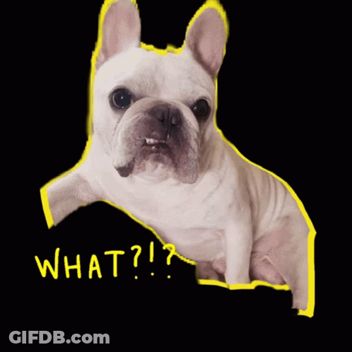 Bulldog And Puppy Sitting Together GIF