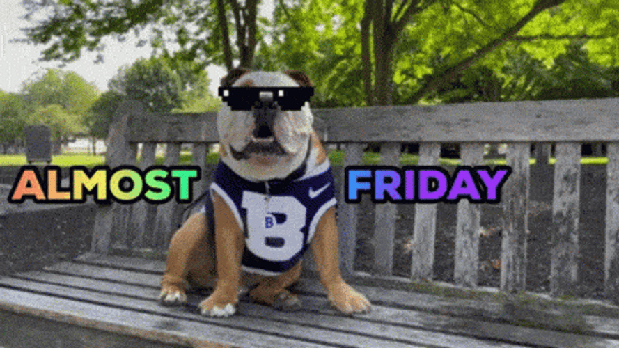 Bulldog Chilling Because It's Almost Friday GIF