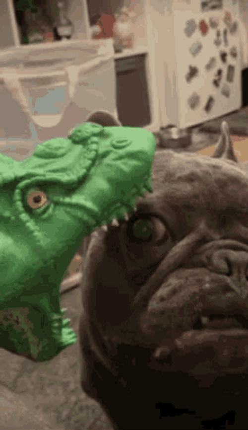Bulldog Dinosaur Face GIF