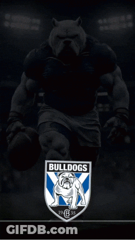Bulldog Holding Football With Word Bulldogs GIF